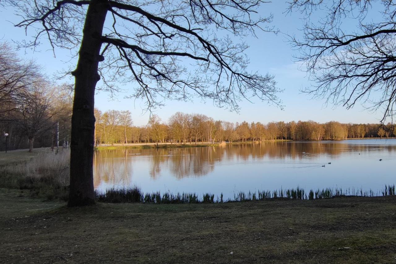 Lauwie 14 Lanaken Bagian luar foto