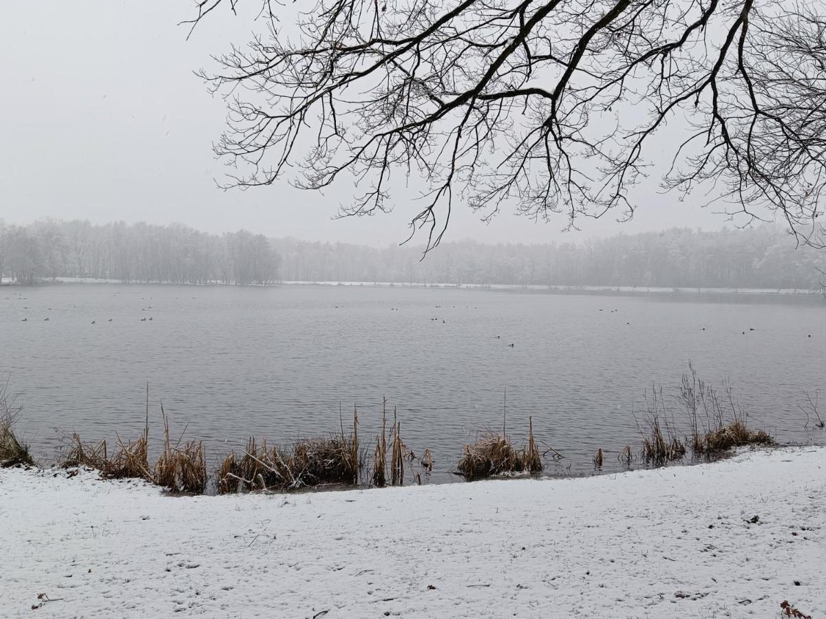 Lauwie 14 Lanaken Bagian luar foto