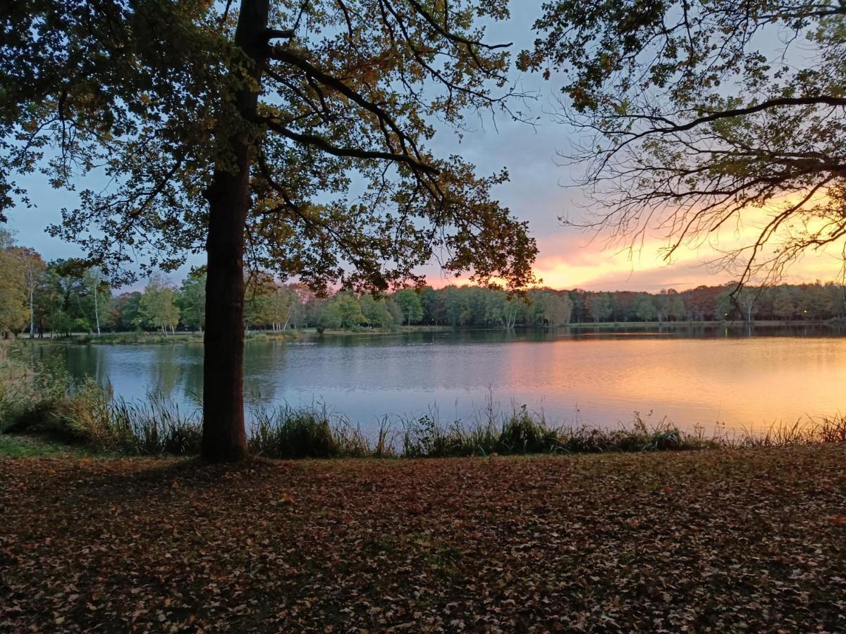 Lauwie 14 Lanaken Bagian luar foto
