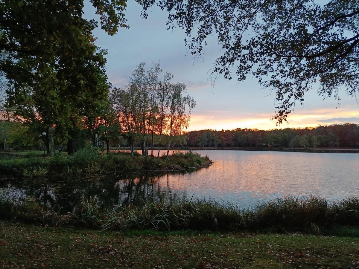 Lauwie 14 Lanaken Bagian luar foto