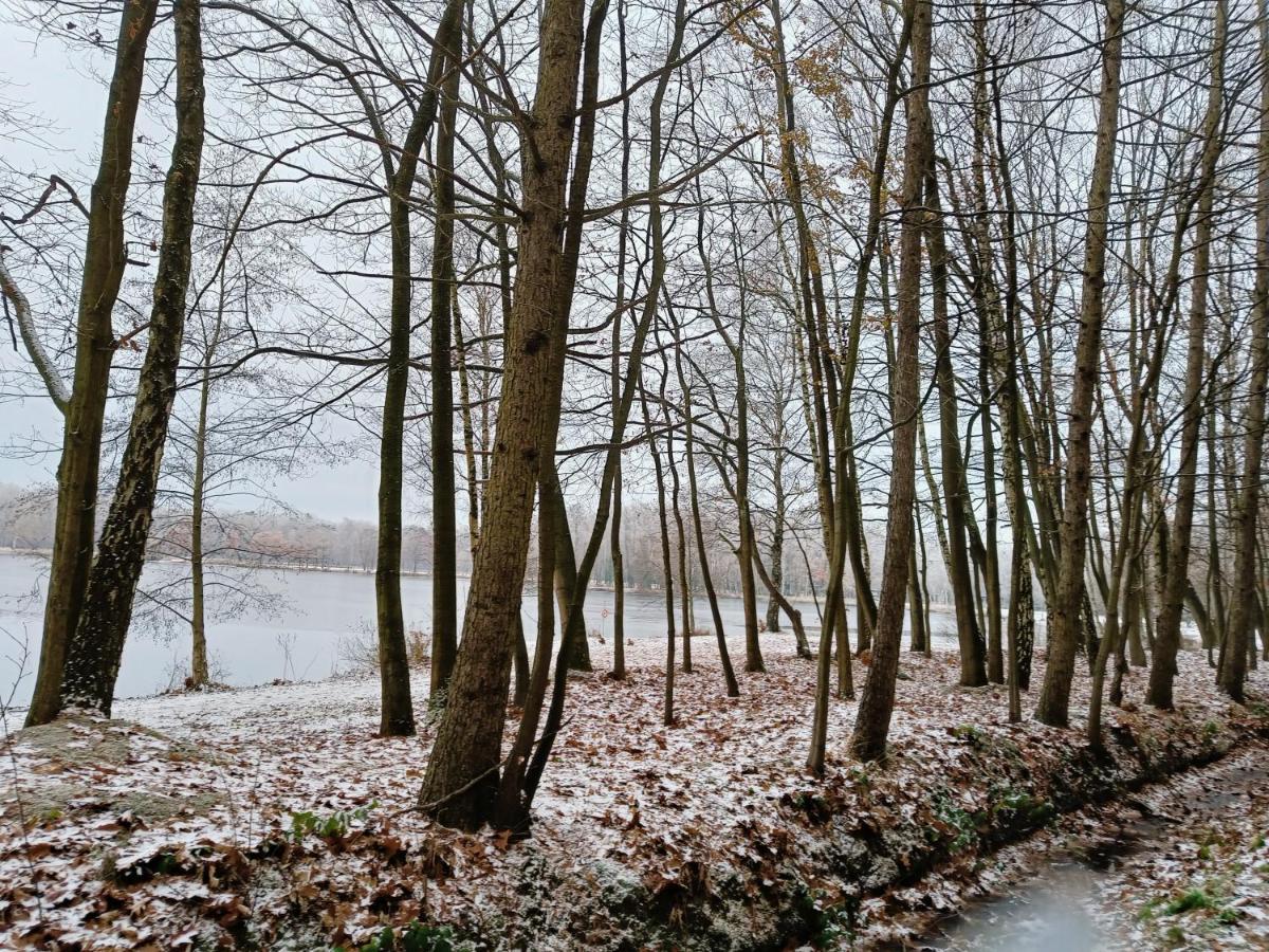 Lauwie 14 Lanaken Bagian luar foto