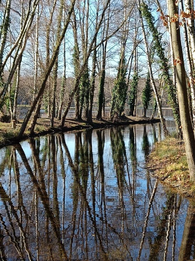 Lauwie 14 Lanaken Bagian luar foto