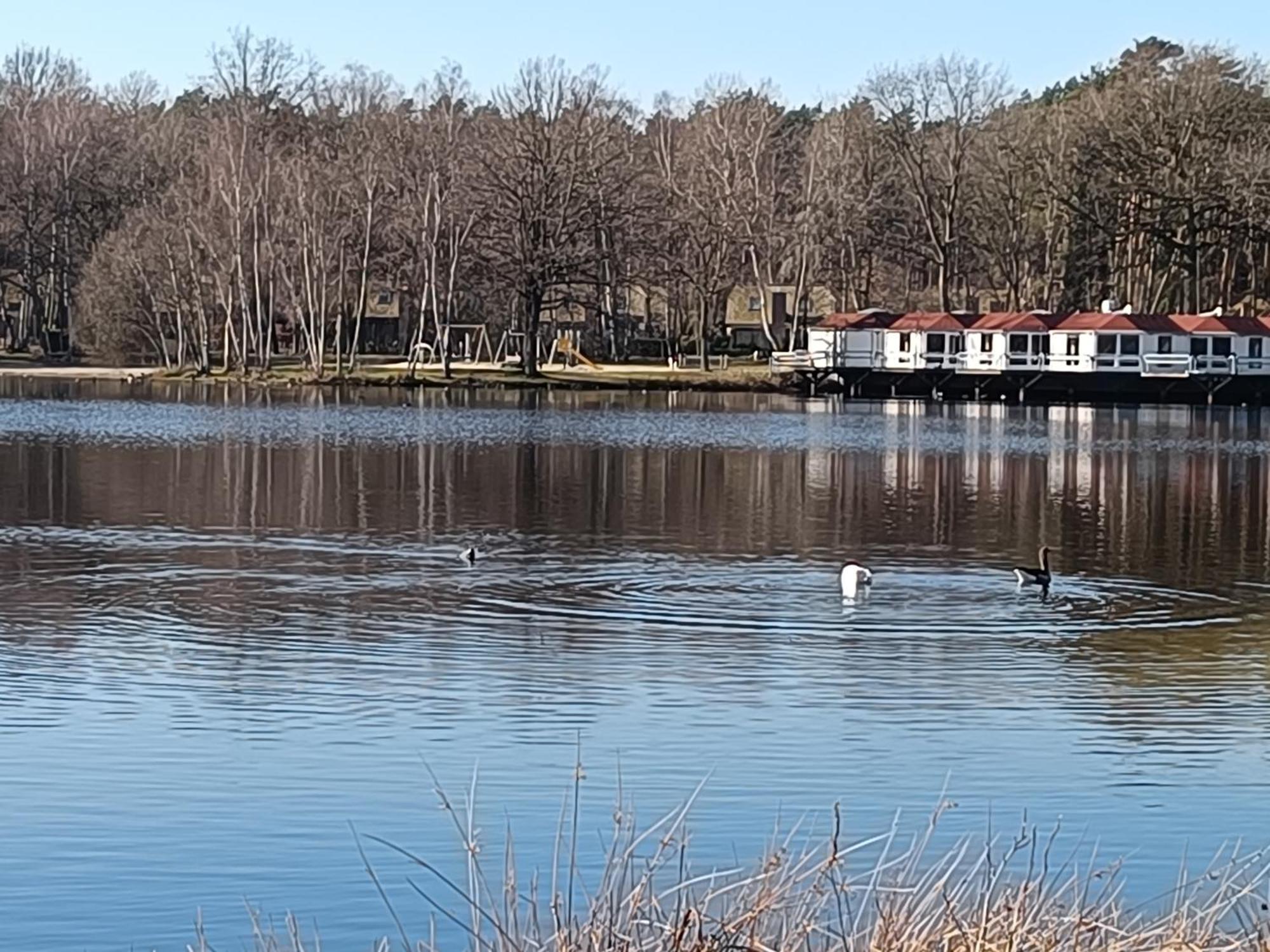 Lauwie 14 Lanaken Bagian luar foto